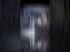 TECPPF nueva línea de producción